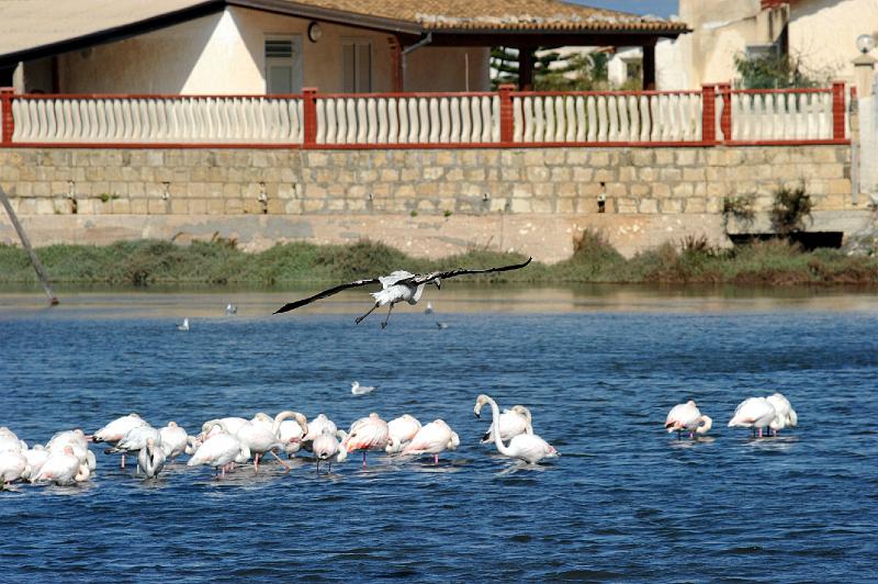 27.2.2011 MARZAMEMI E PRANZO SOCIALE (80).jpg